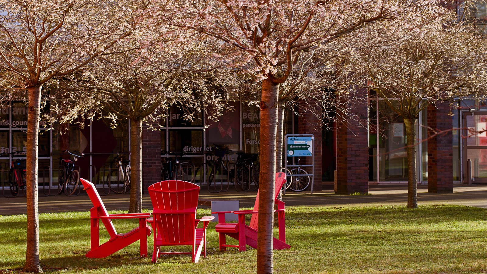 rei rote Liegestühle stehen unter blühenden Kirschbäumen vor dem VWG Gebäude.